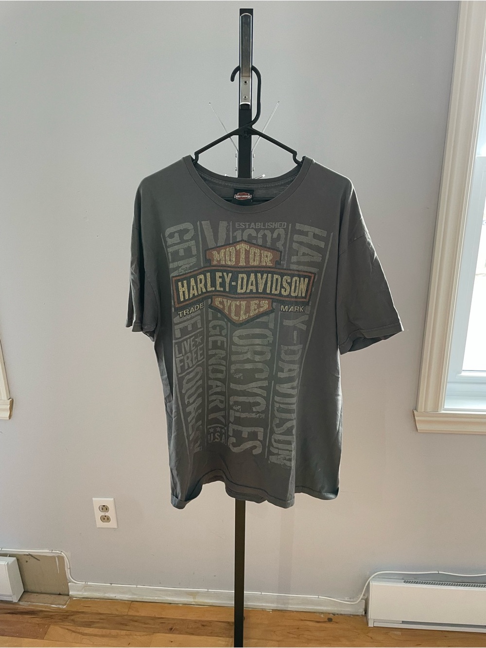 Harley-Davidson Men's Gray Graphic Logo Tee